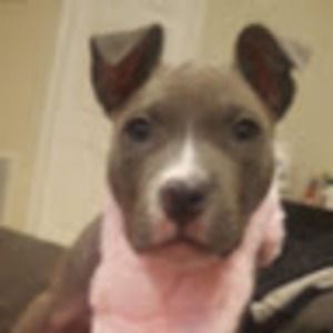 Meet your Posher, Stacy